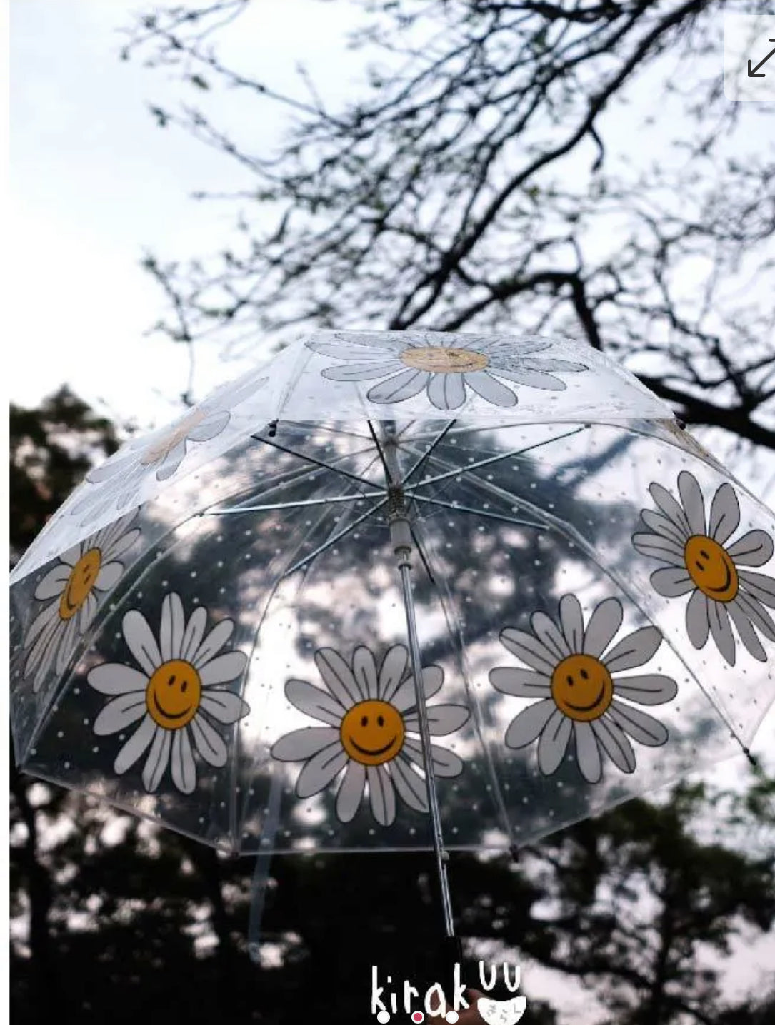 🇯🇵☔️日本 Kirakuu 菊花笑面透明雨傘|浪漫氛圍|雨傘雨具系列|長傘|大範圍擋風擋雨
