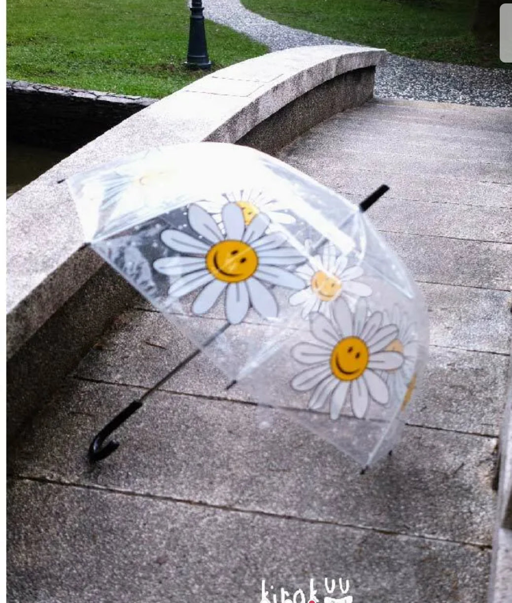 🇯🇵☔️日本 Kirakuu 菊花笑面透明雨傘|浪漫氛圍|雨傘雨具系列|長傘|大範圍擋風擋雨