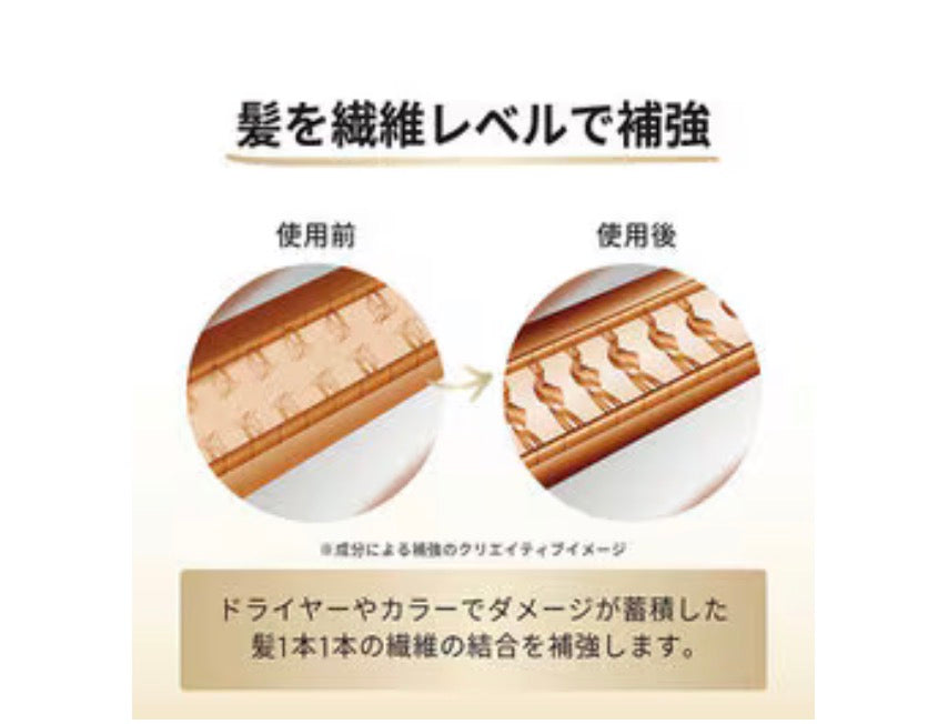 🇯🇵日本直送Pantene 系列Color Shine & Repair (色澤修護) 洗髮露（補充裝   【6/28 截單，預計 :7月中至尾發貨】