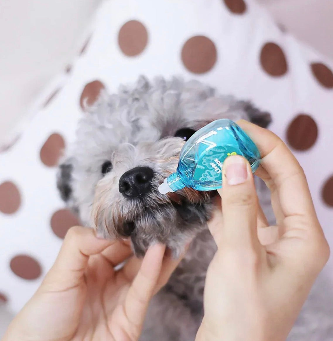 【Aphro Paws】 健康心臟補充滴劑 |肝臟排毒補充滴劑 |寵物天然眼藥水   【7/26 截單，預計 :8月中至8月尾發貨】