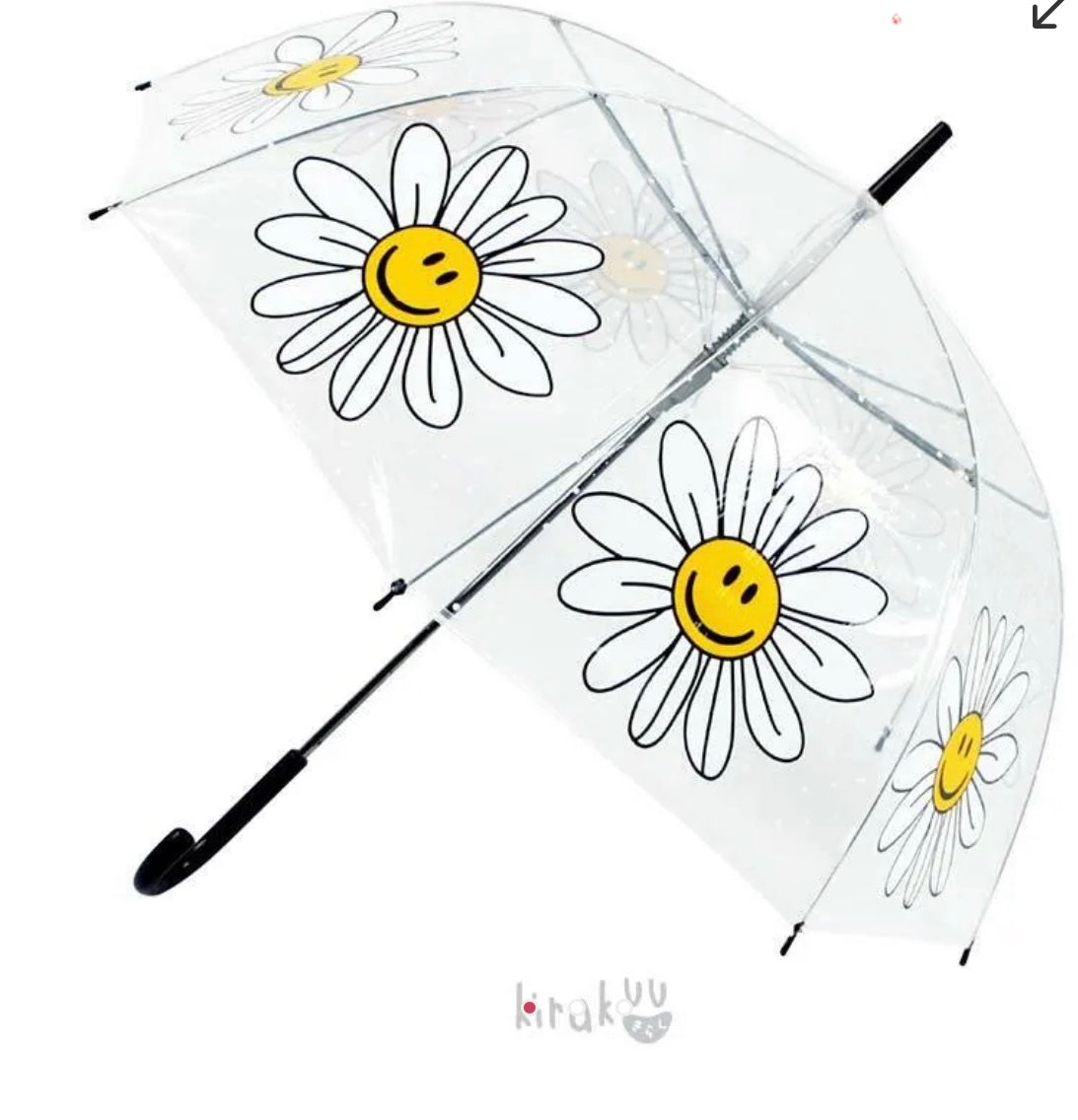 🇯🇵☔️日本 Kirakuu 菊花笑面透明雨傘|浪漫氛圍|雨傘雨具系列|長傘|大範圍擋風擋雨