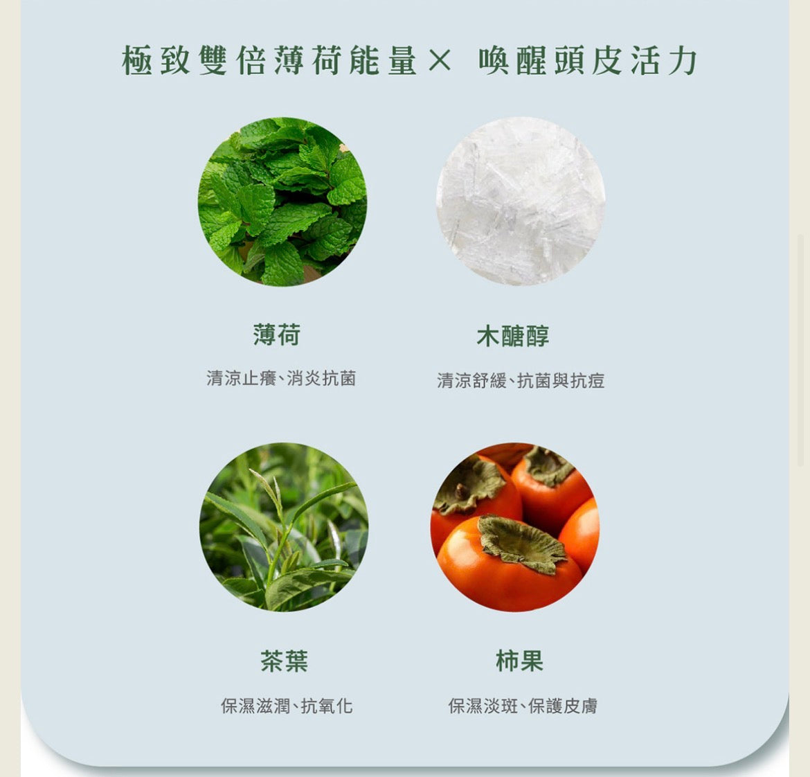 🌟髮型師推介「韓金頭皮涼感菁露」頭皮屑和發炎系列（Head Spa ）