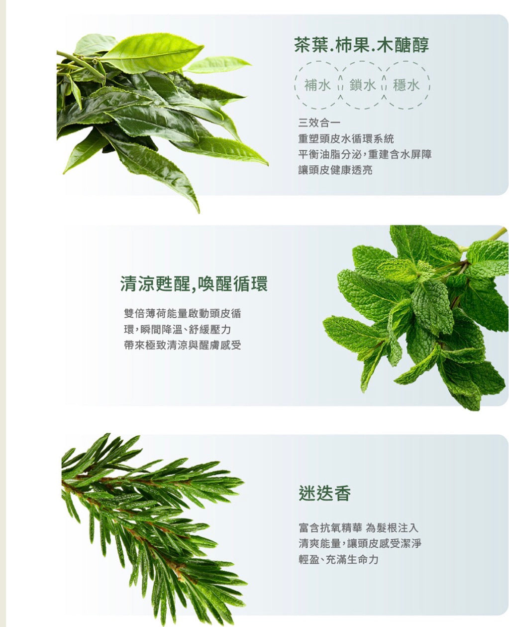 🌟髮型師推介「韓金頭皮涼感菁露」頭皮屑和發炎系列（Head Spa ）