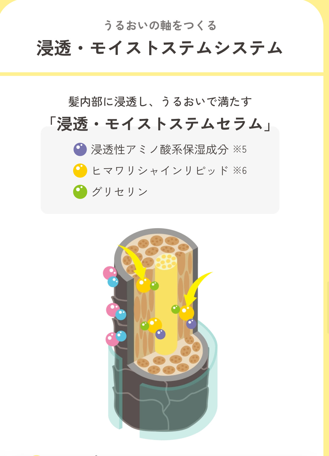 限時 ✅冬天必備推介🇯🇵熱買日本向日葵HIMAWARI  瞬感浸透髮膜