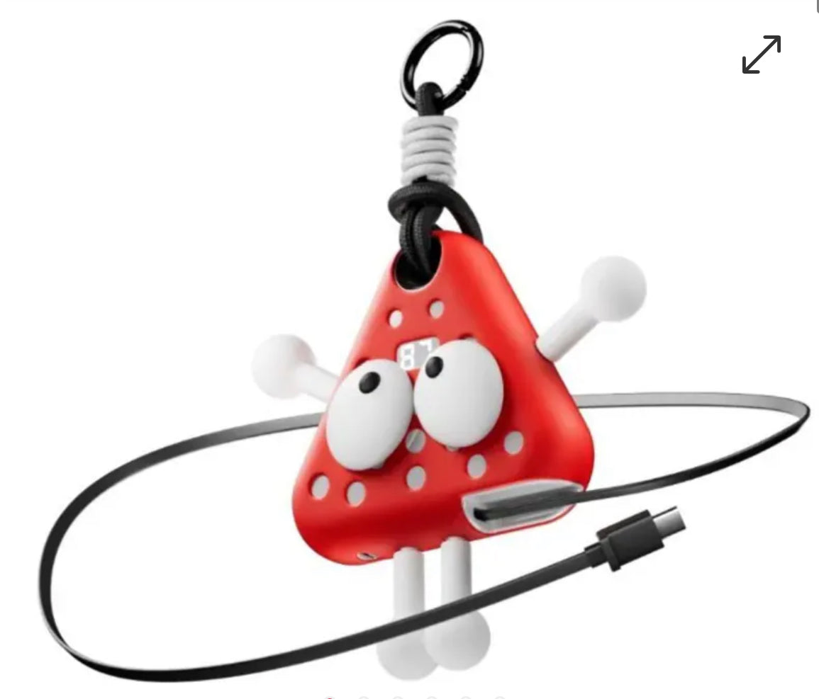 ⚡️⚡️Fandreams 小飯團充電寶 【28/21截單，預計 : 一月中至一月尾發貨】