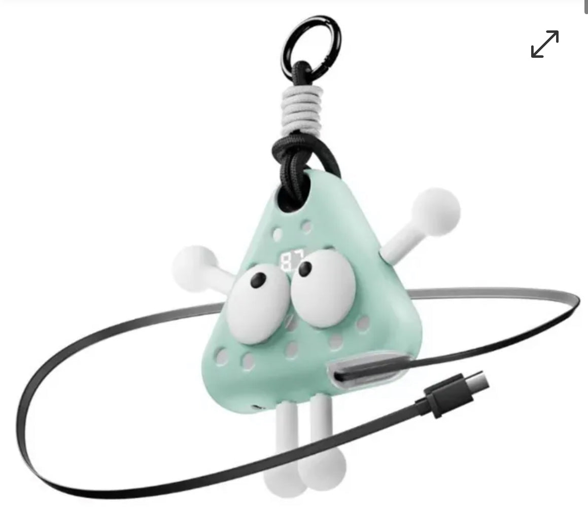 ⚡️⚡️Fandreams 小飯團充電寶 【28/21截單，預計 : 一月中至一月尾發貨】