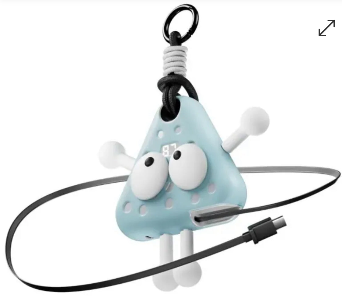 ⚡️⚡️Fandreams 小飯團充電寶 【28/21截單，預計 : 一月中至一月尾發貨】